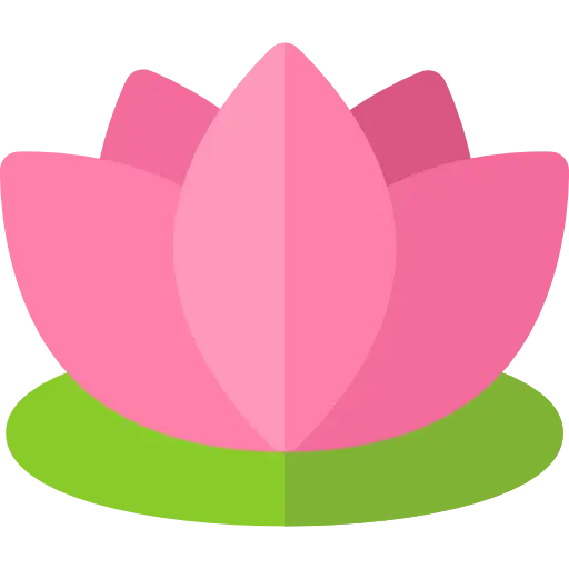Pink Lotus Flower Illustration