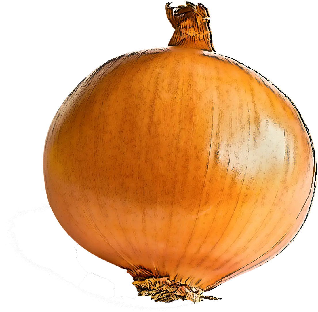 Golden Onion Vegetable Close-Up