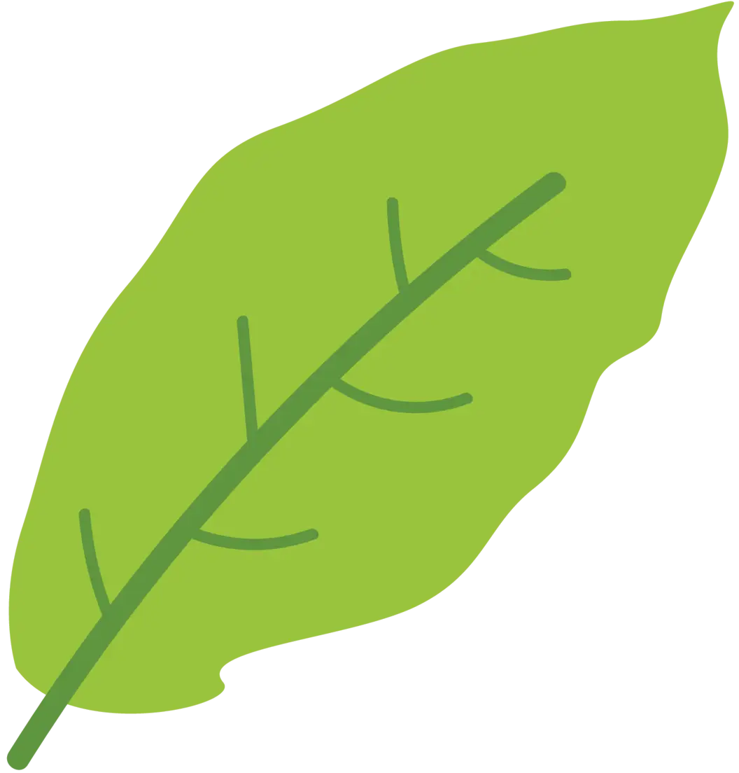 Green Leaf Vector for Nature Themes