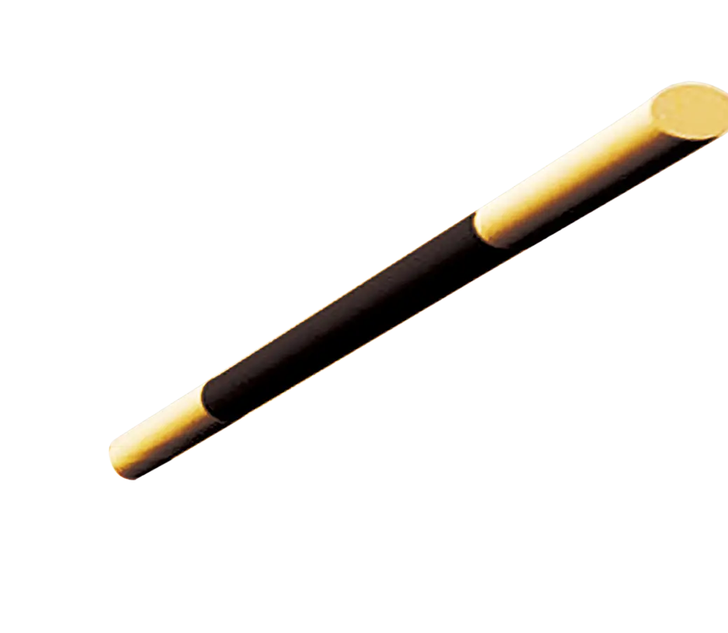 Magic Wand in Black and Gold Design