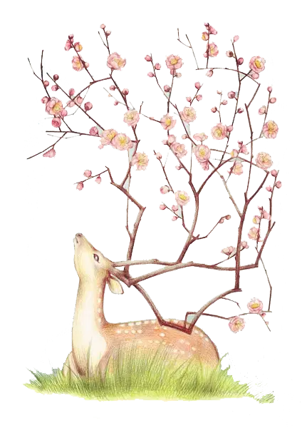 Deer with Blossoming Flowers Illustration