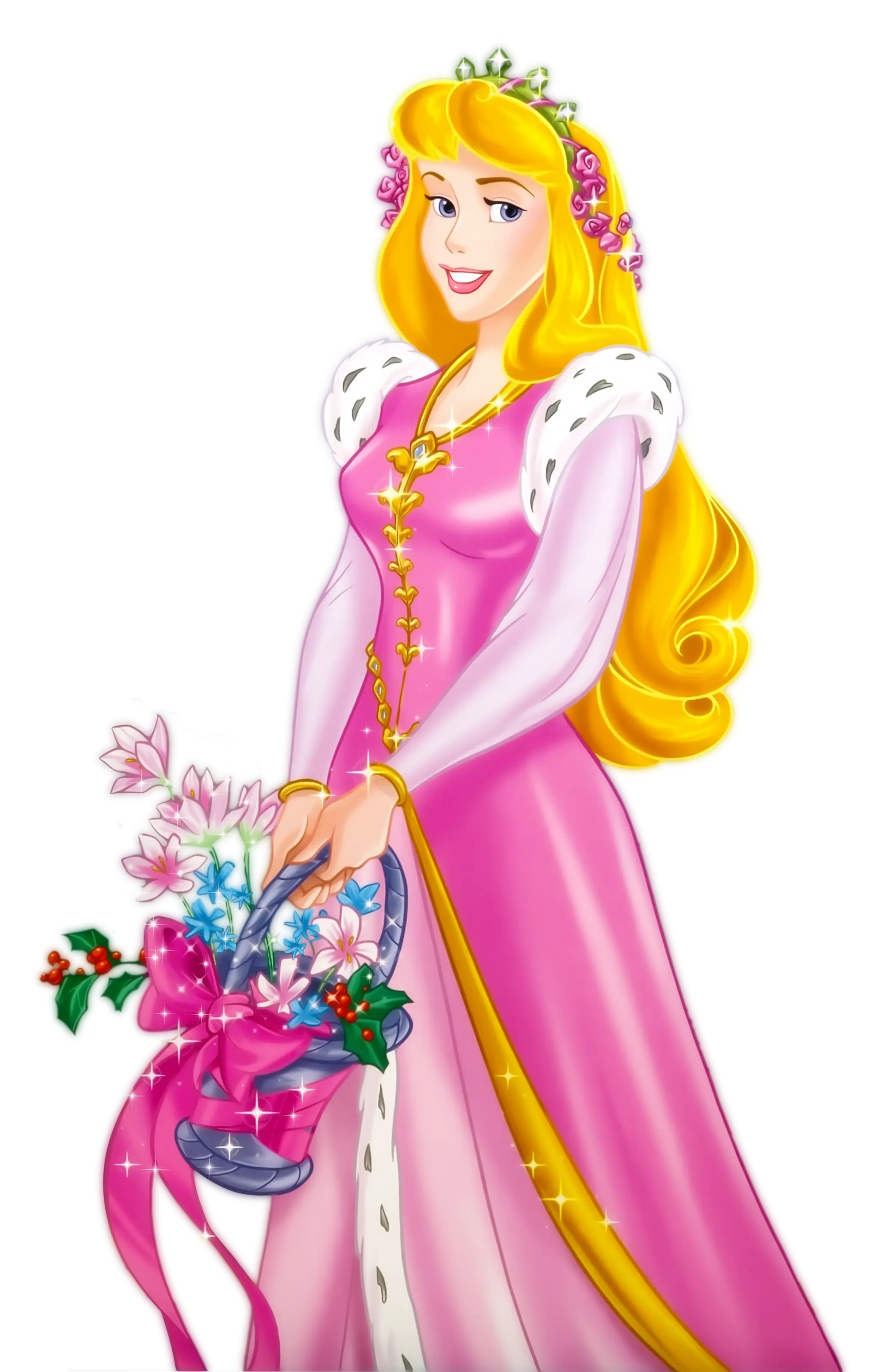 Beautiful Princess in Pink Dress