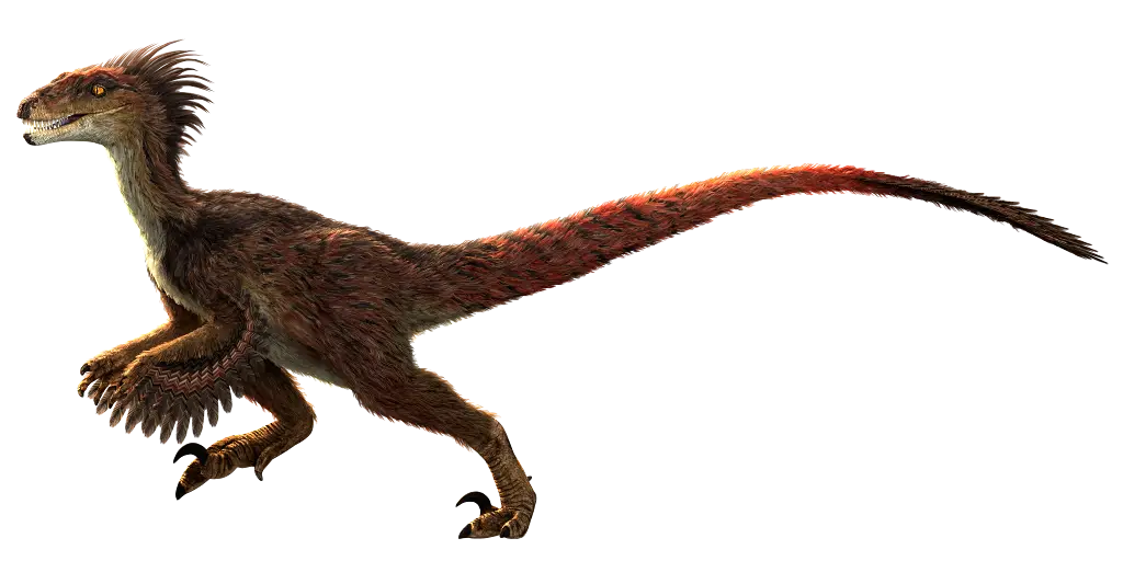 Velociraptor Dinosaur Illustration