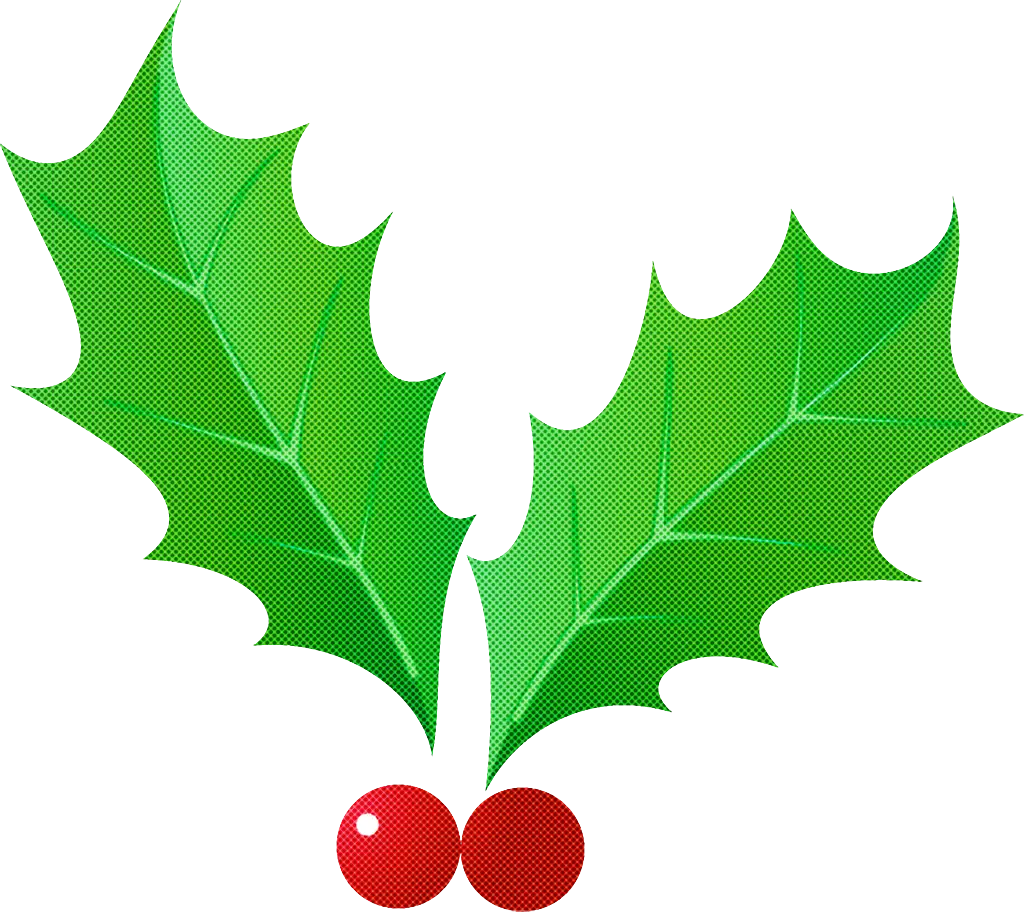 Holly Leaves and Berries Illustration for Christmas