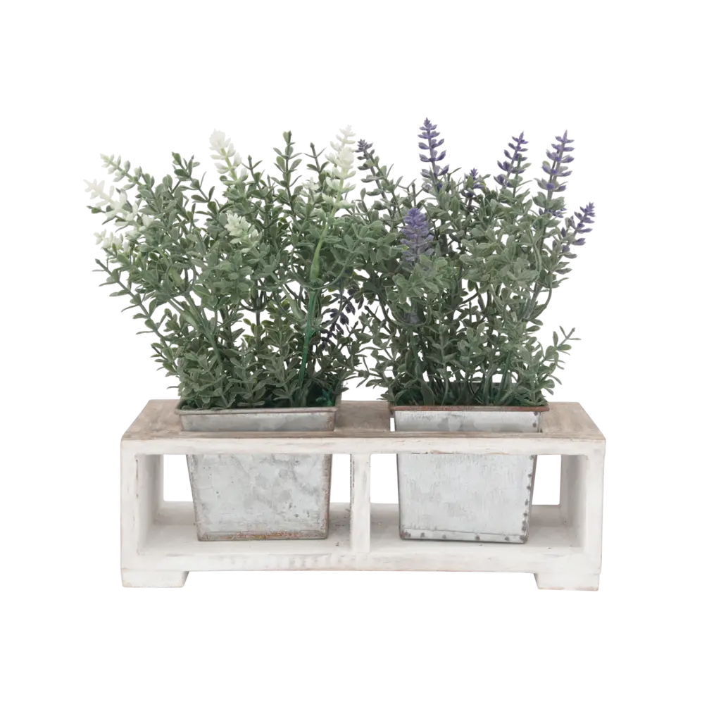 Potted Lavender and Green Plants
