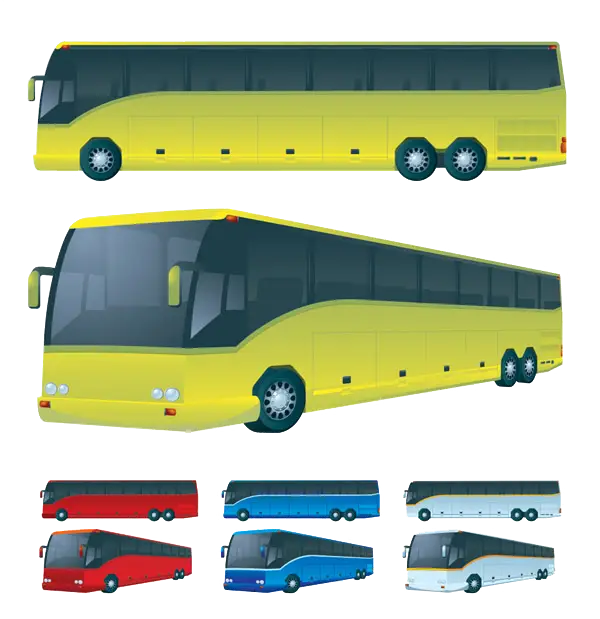 Colorful Buses for Public Transport