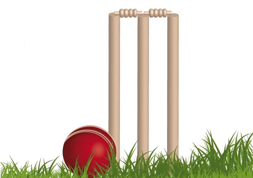 Cricket Stumps with Ball