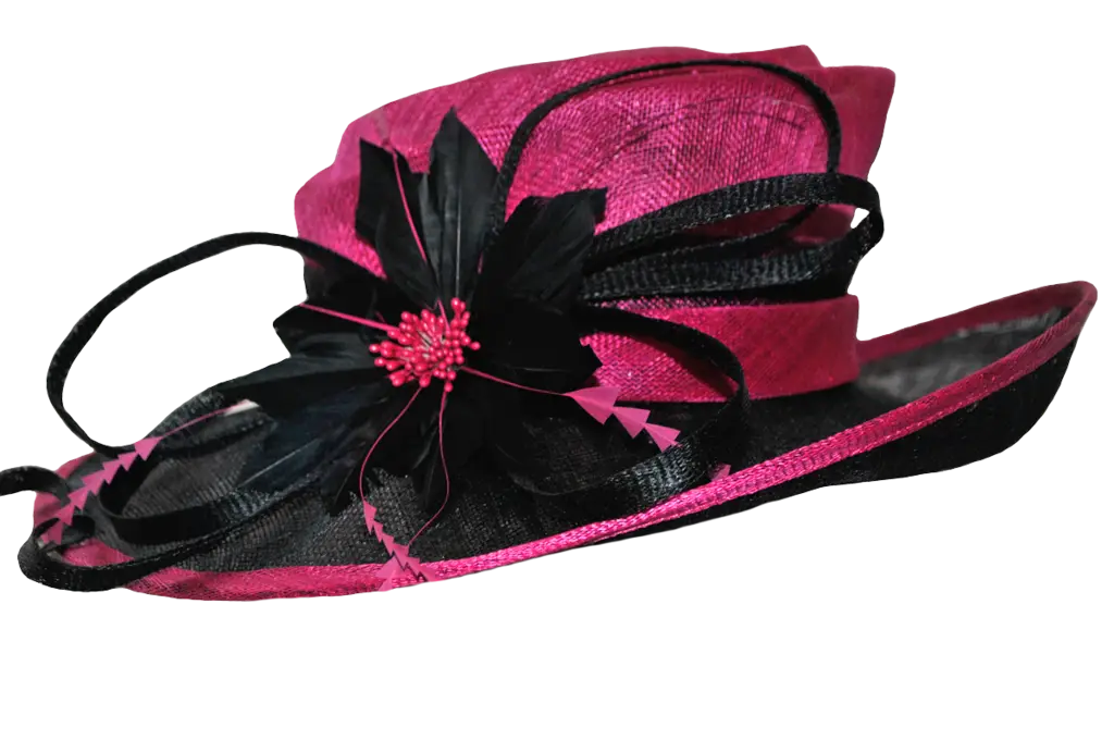 Pink and Black Decorative Hat Design