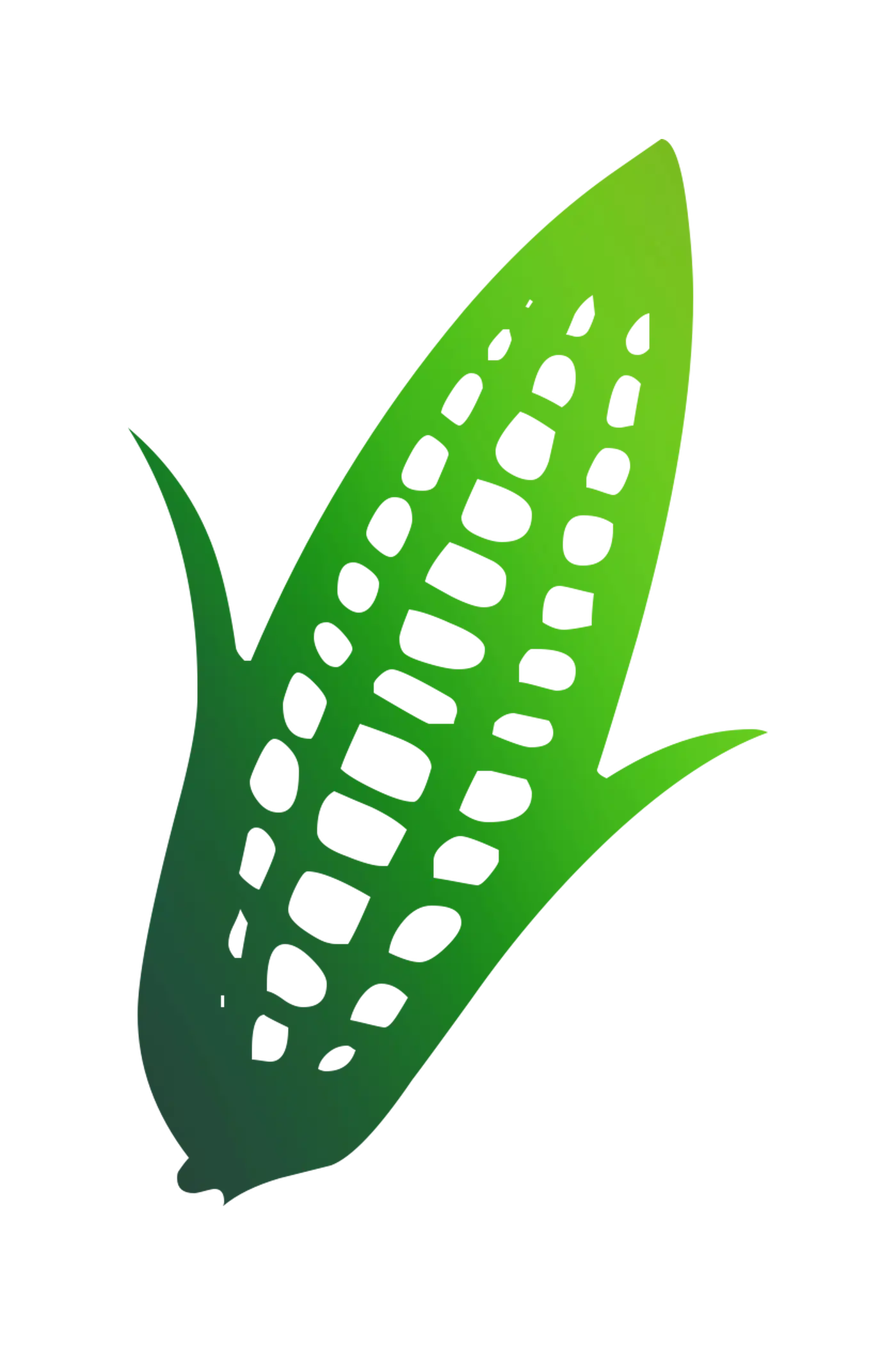 Green Corn Illustration