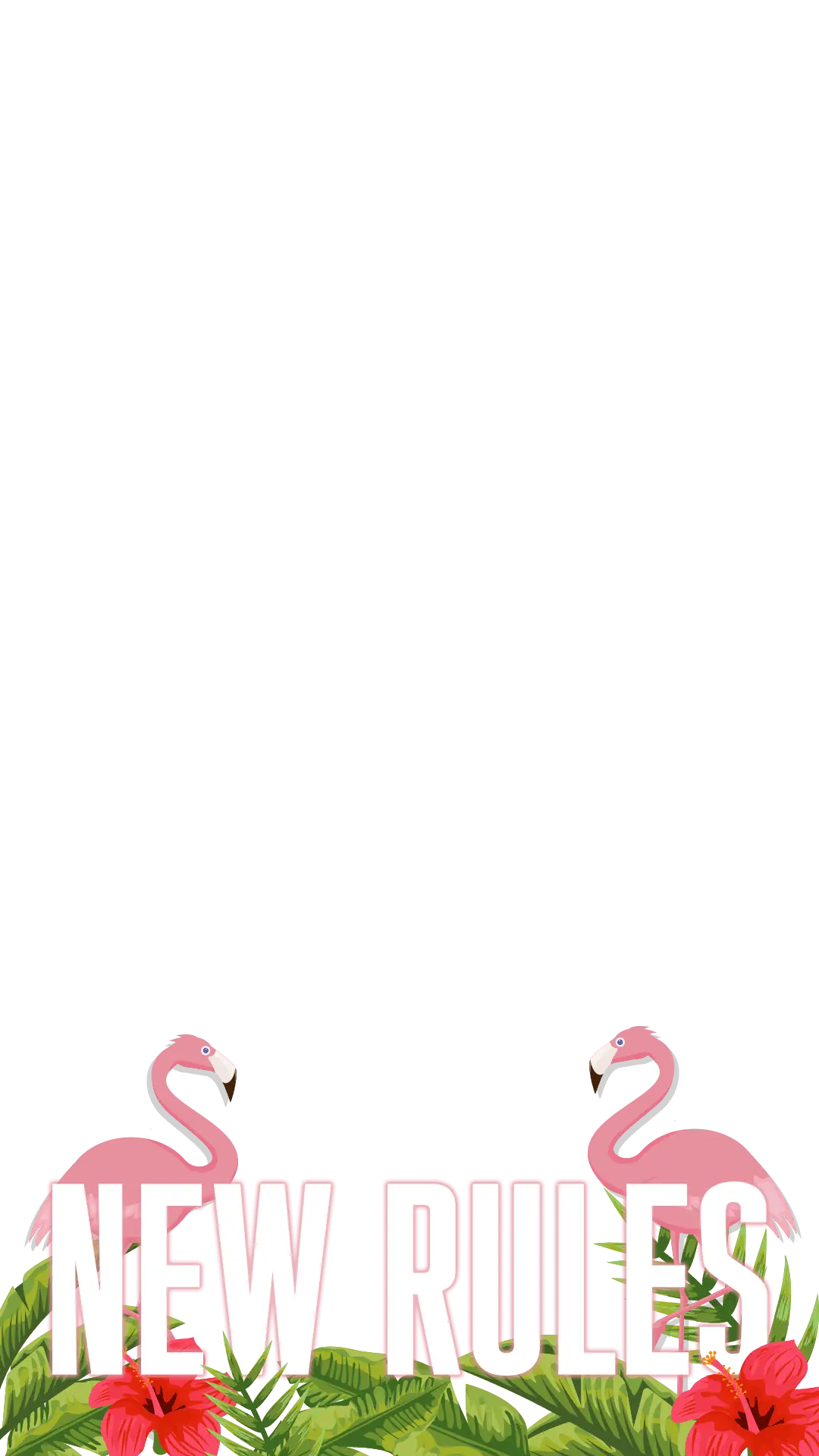 New Rules with Flamingos and Tropical Theme