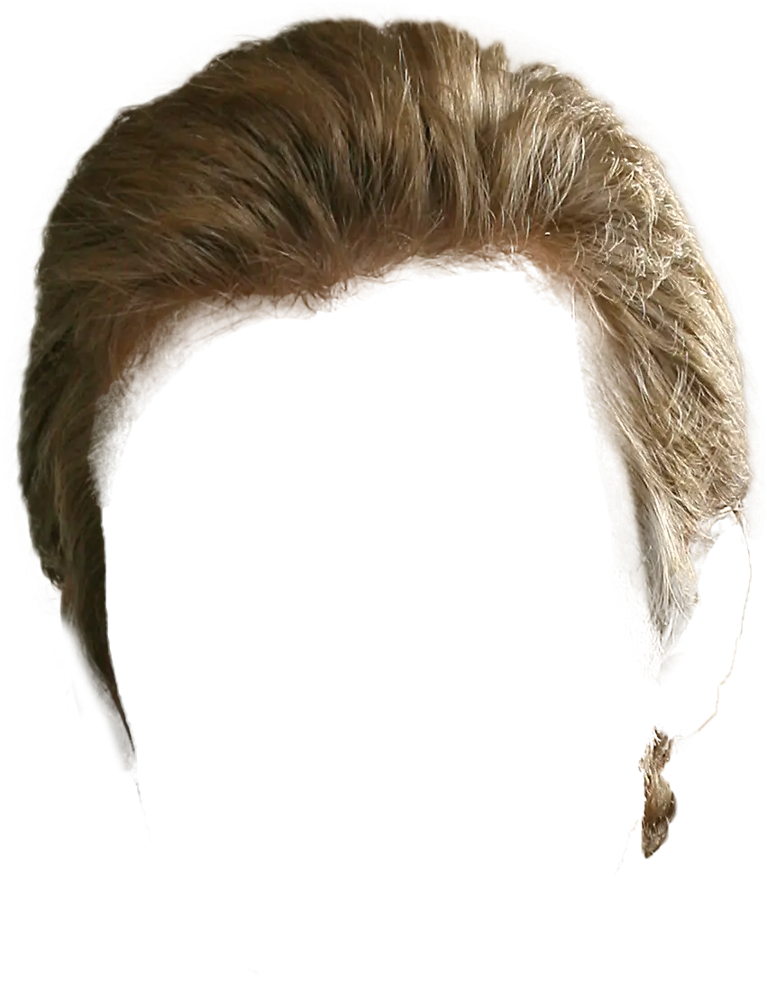 Brown Hair Wig