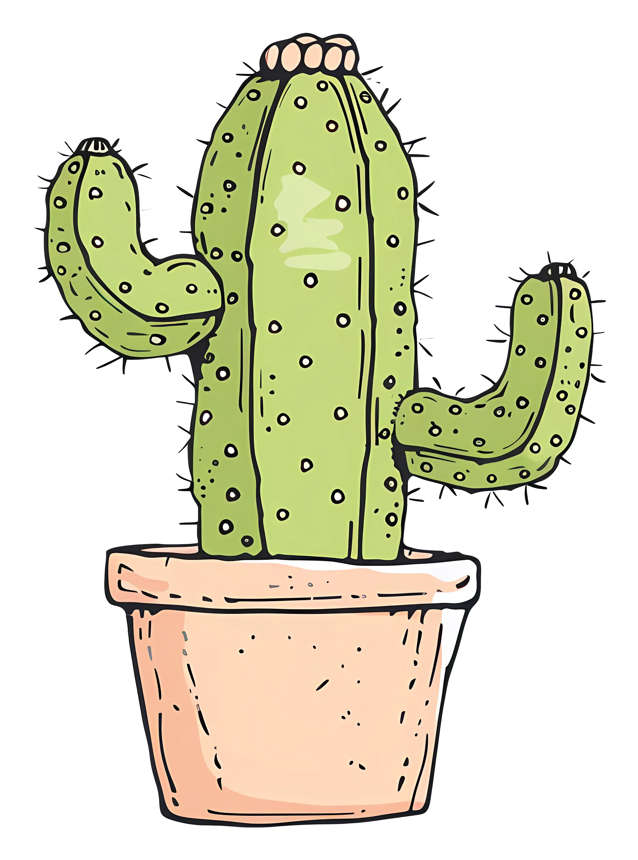 Green Cactus in Terracotta Pot