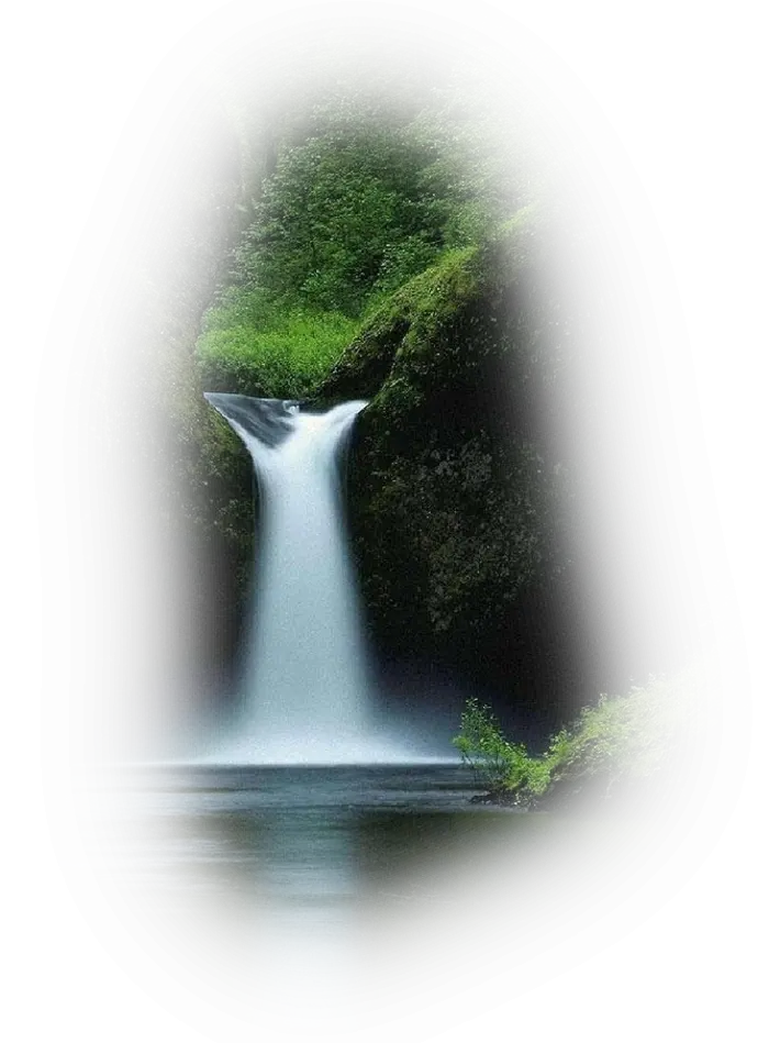 Beautiful Waterfall in Forest Landscape