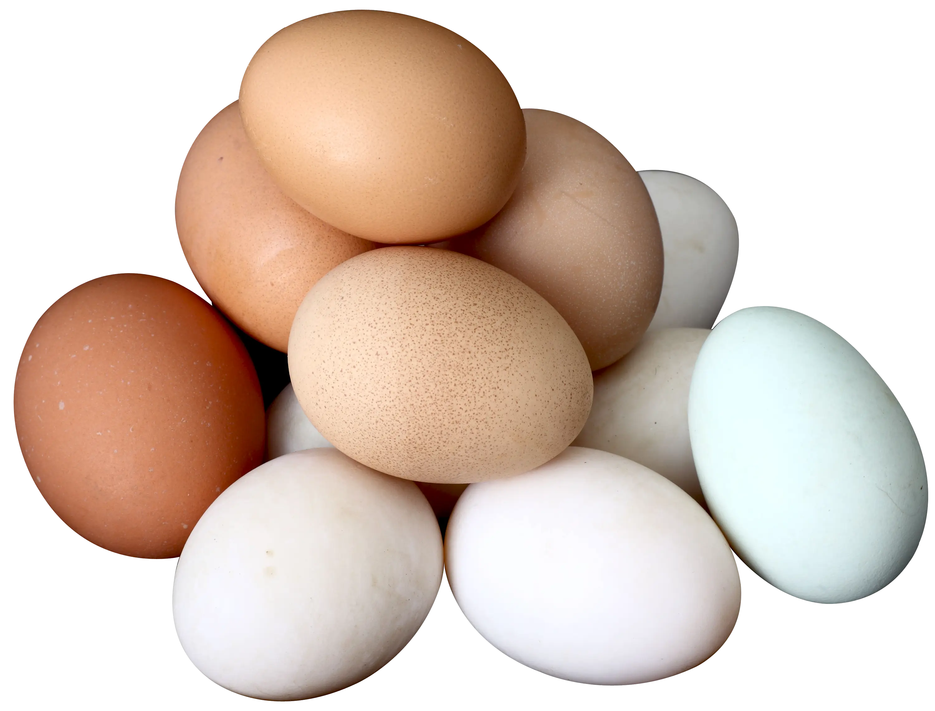 Pile of Fresh Farm Eggs in Different Colors