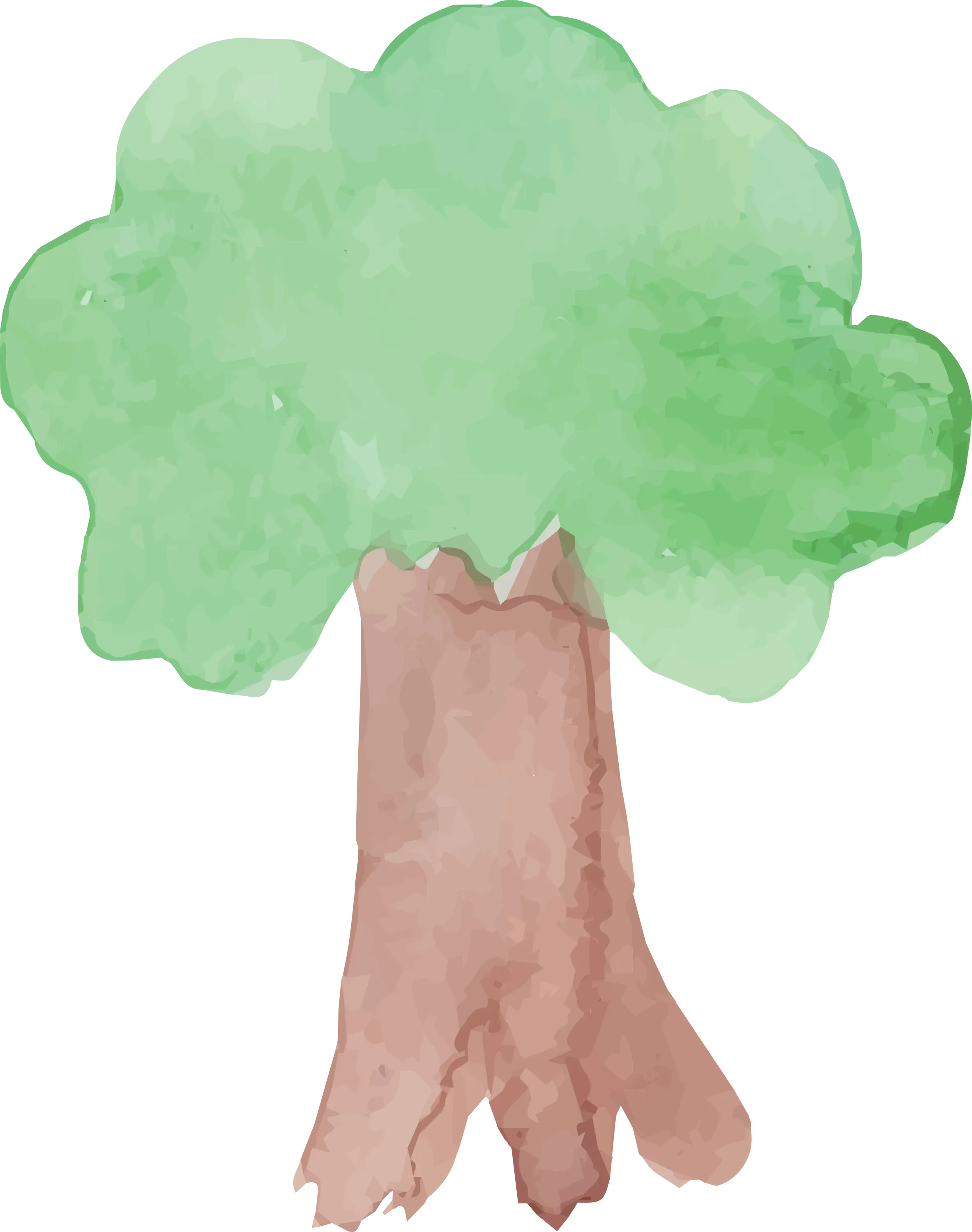 Watercolor Green Tree Illustration