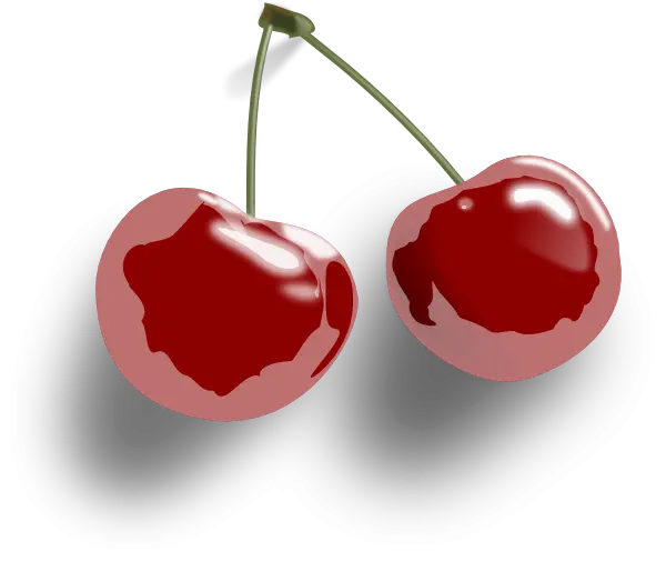 Pair of Fresh Red Cherries with Stems