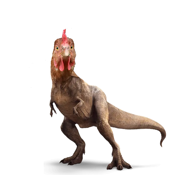 Hybrid Dinosaur with Chicken Head