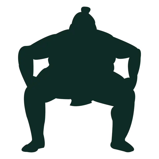 Silhouette of Sumo Wrestler in Traditional Pose