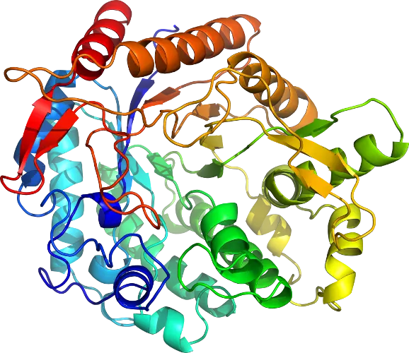 3D Protein Structure Model