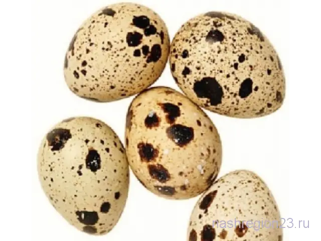 Spotted Quail Eggs