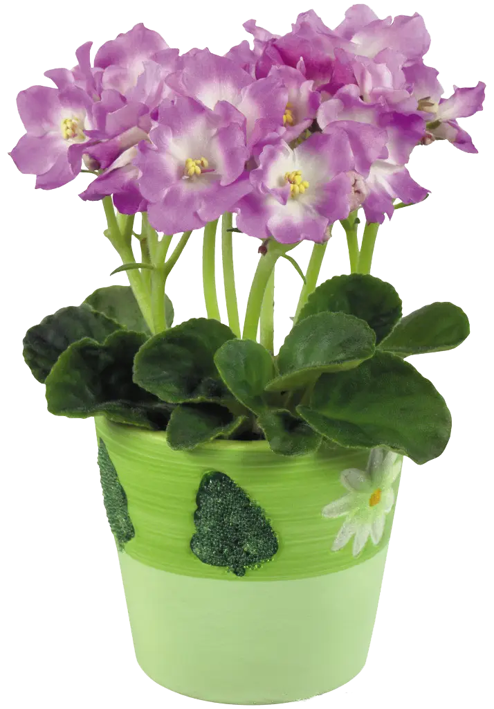 Purple Flowers in Green Pot