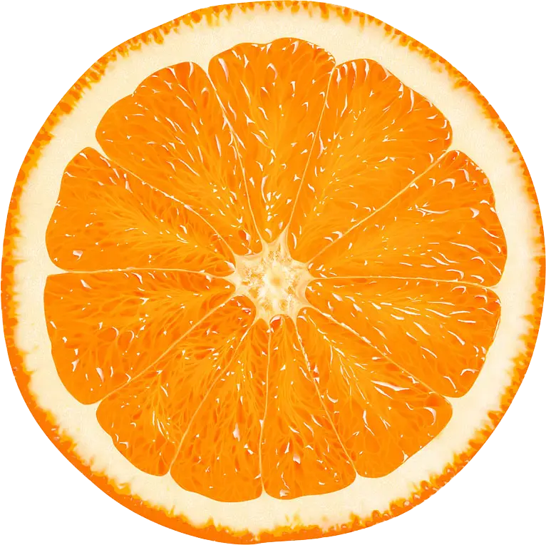 Juicy Orange Slice in Closeup