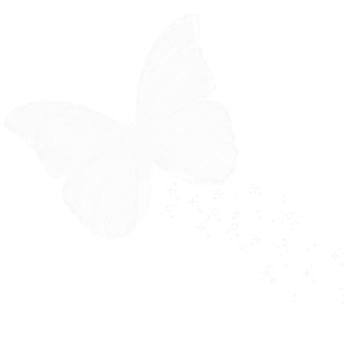 Transparent Butterfly Silhouette Design