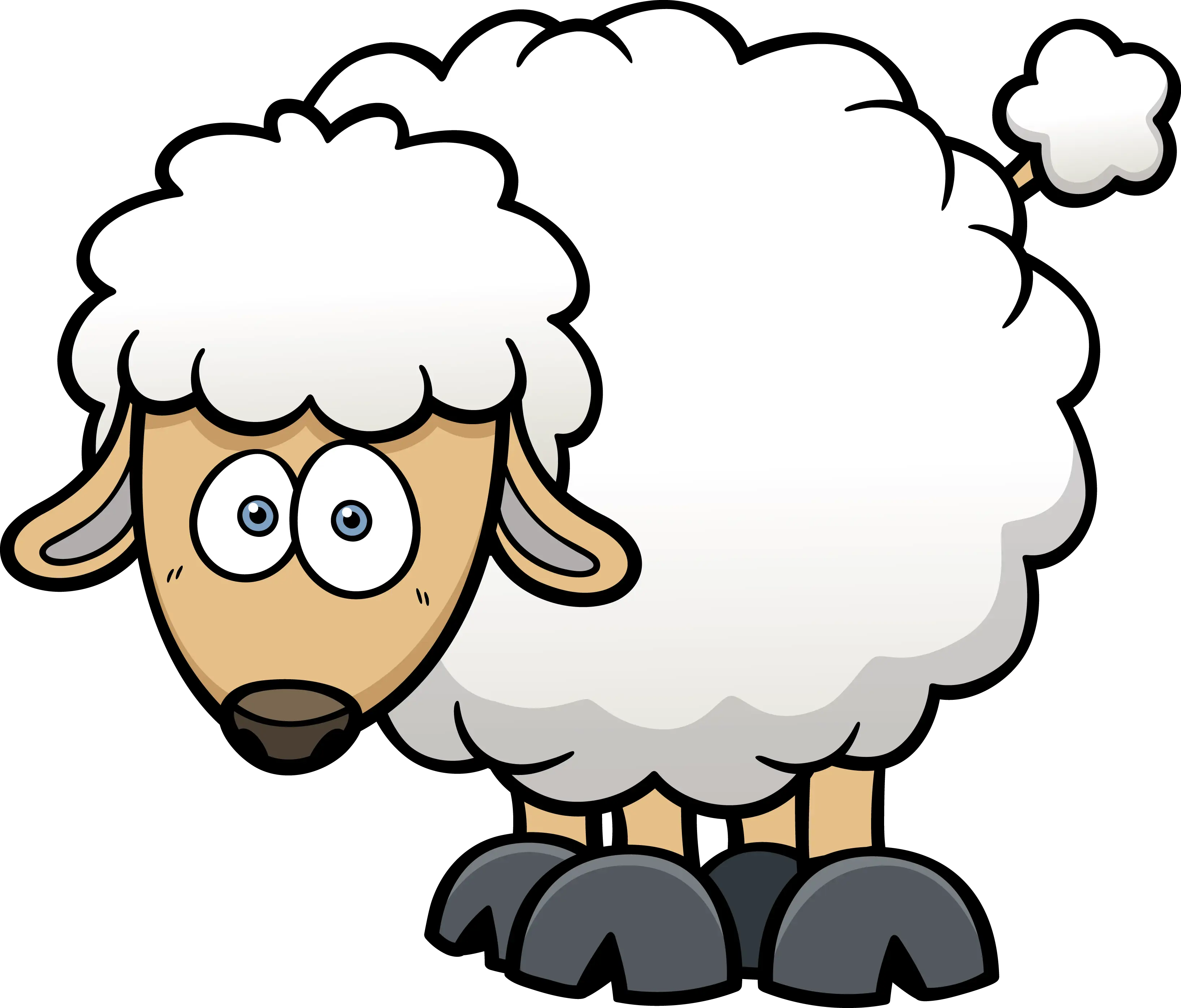 Cartoon Illustration of a Sheep