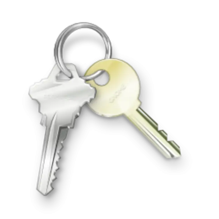 Keychain with Two Metallic Keys