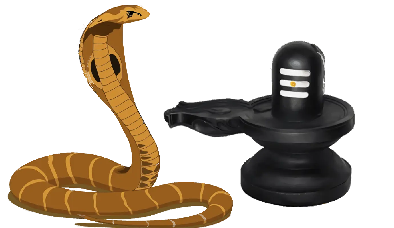 Cobra and Shiva Lingam