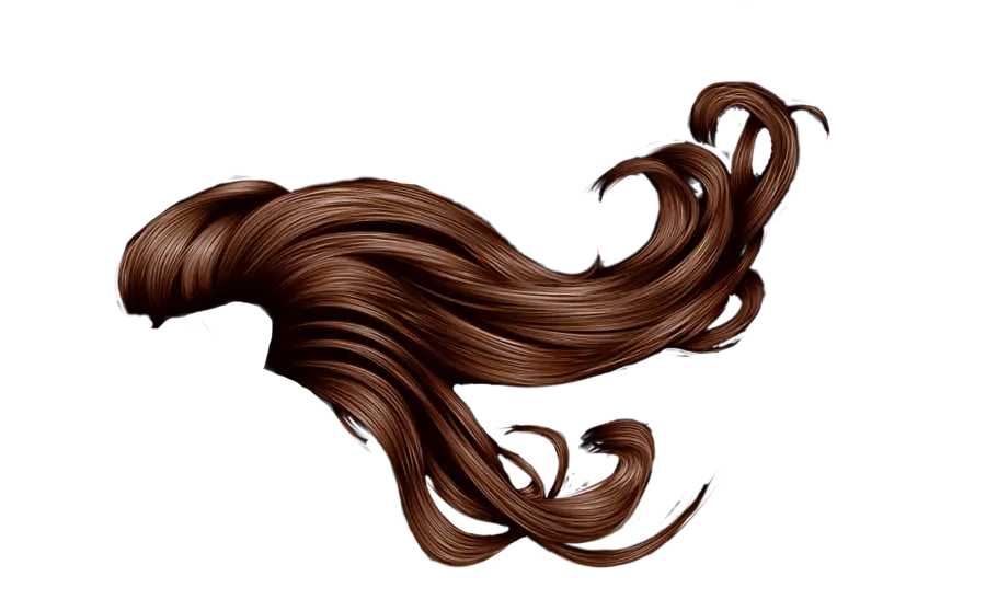 Realistic Wavy Strand of Brown Hair