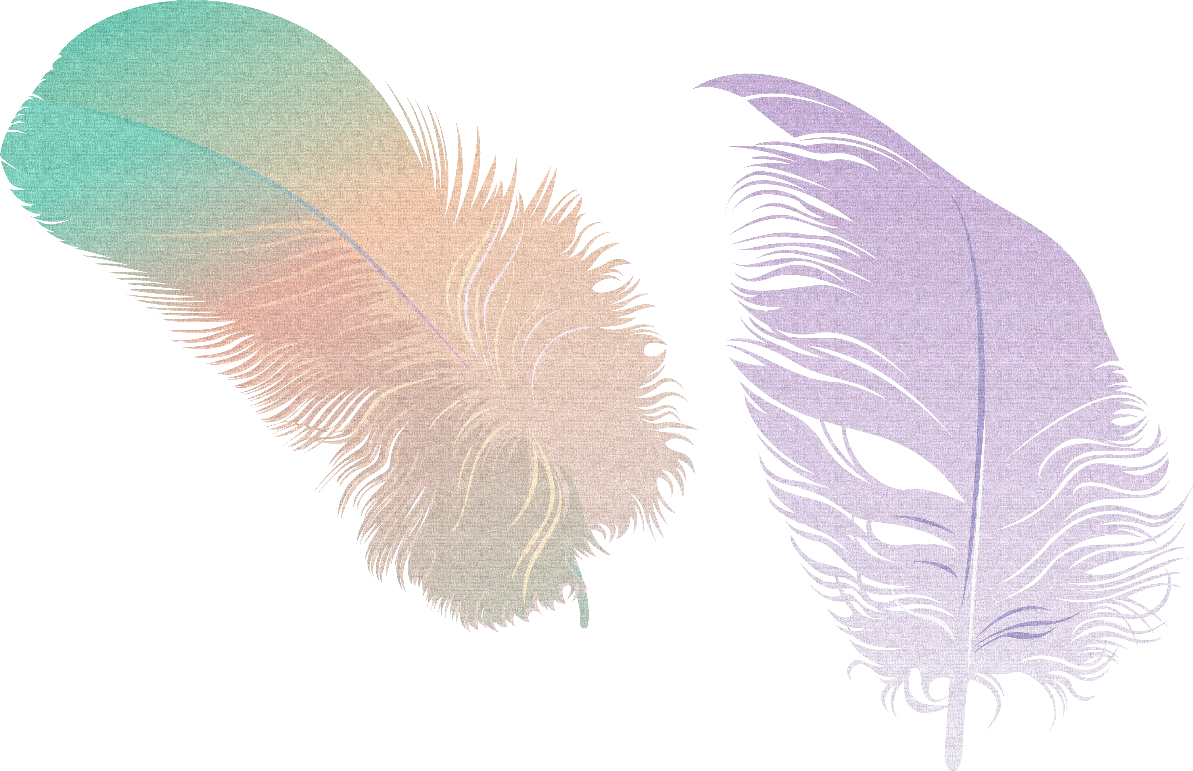 Colorful Gradient Feathers
