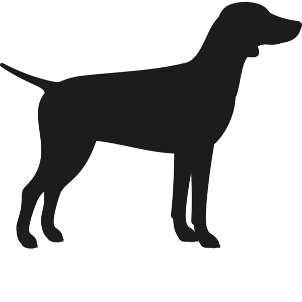 Black Dog Silhouette in Minimalist Style