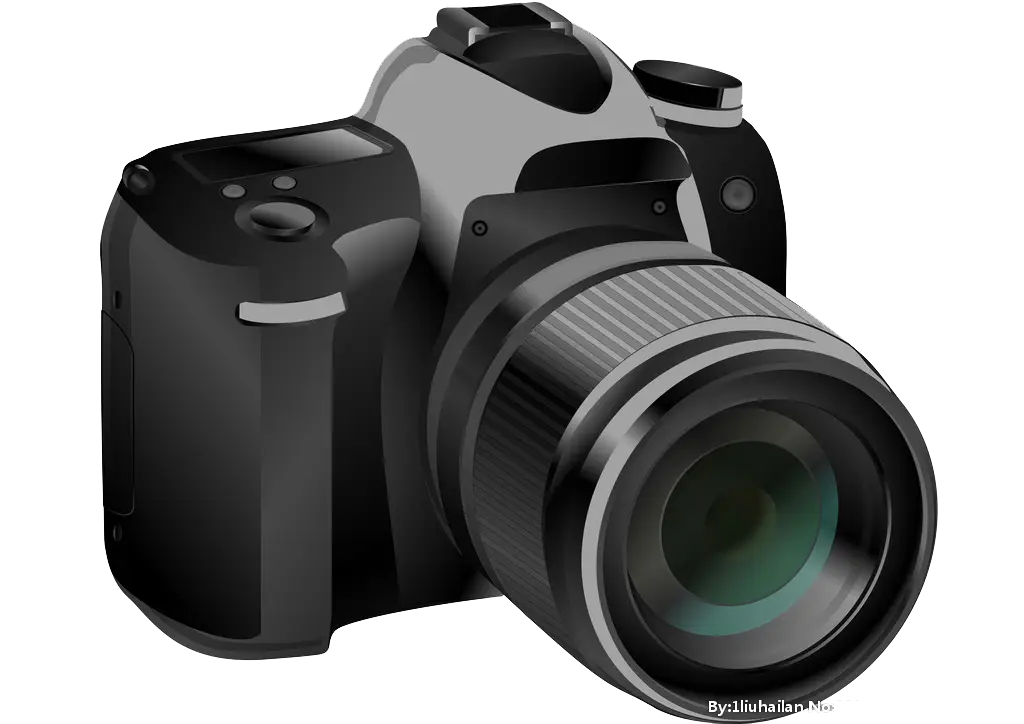 Black DSLR Camera Photograph
