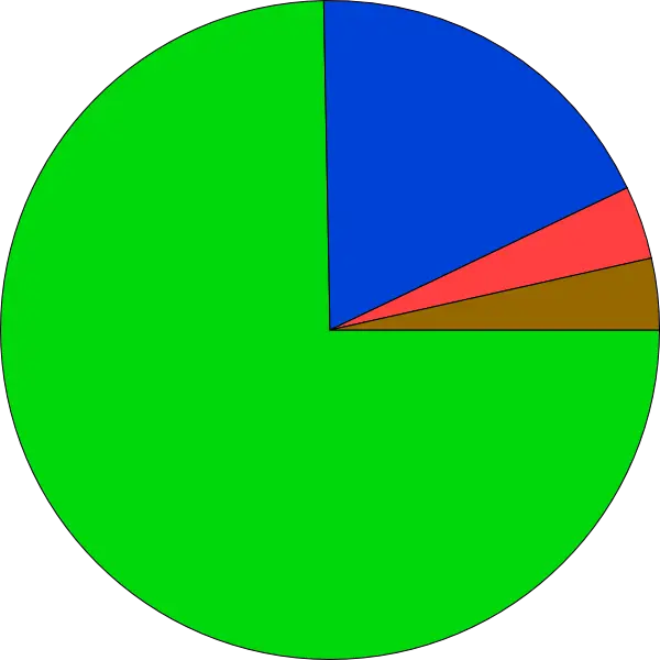 Colorful Pie Chart Representation