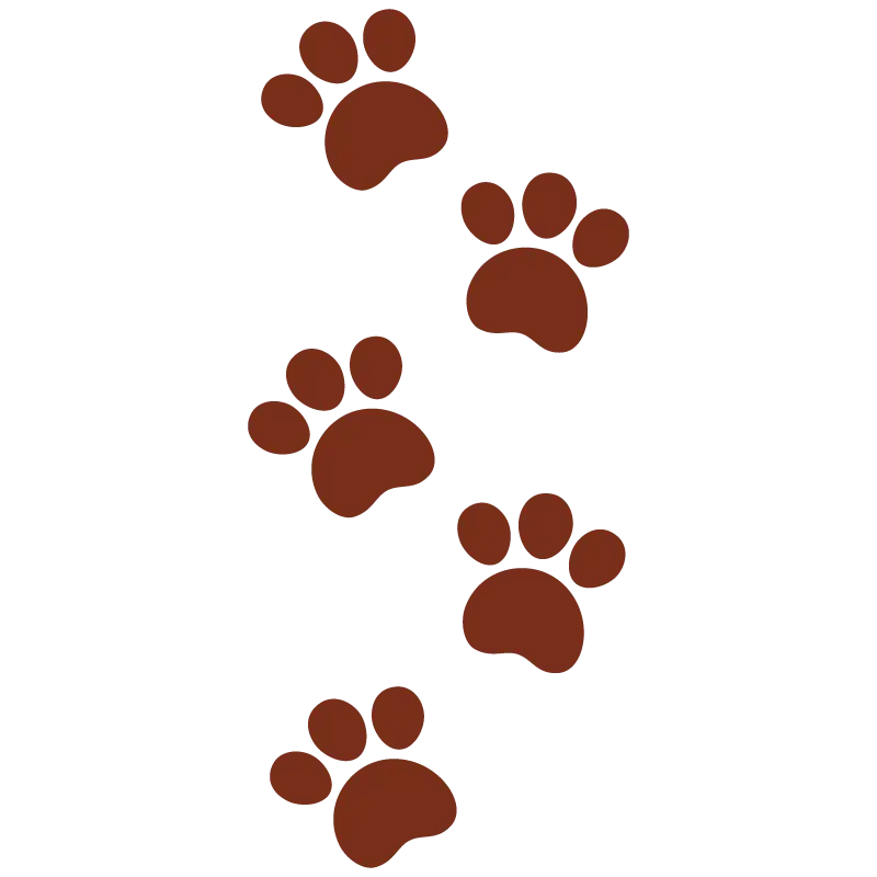 Brown Animal Paw Prints Illustration