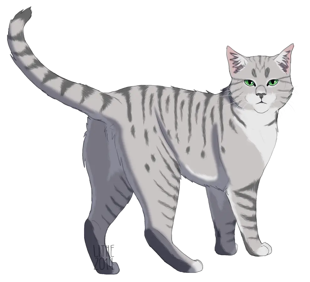 Gray Striped Cat with Green Eyes