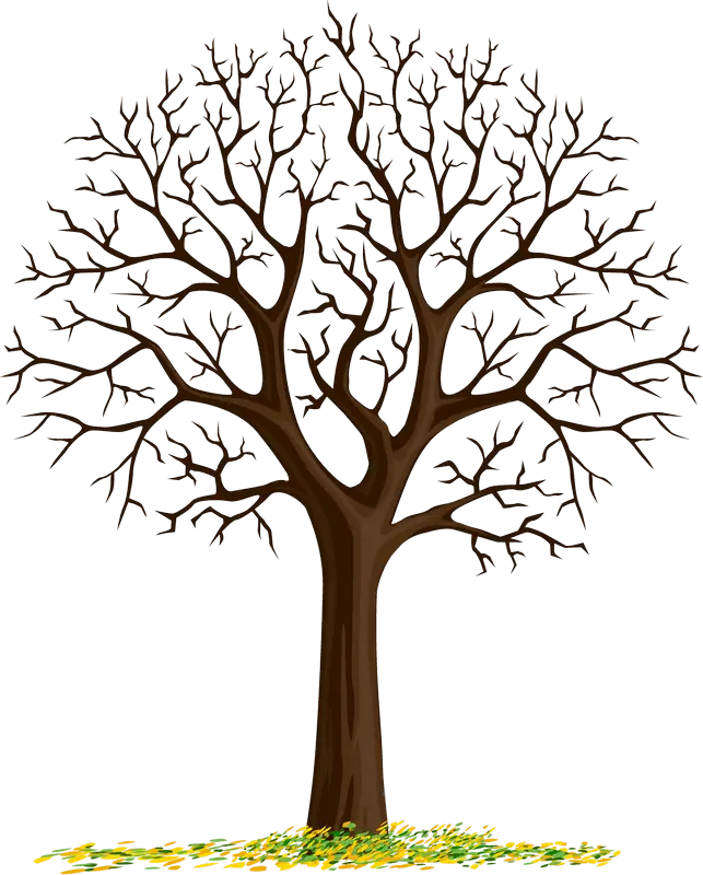 Illustration of Tree without Leaves
