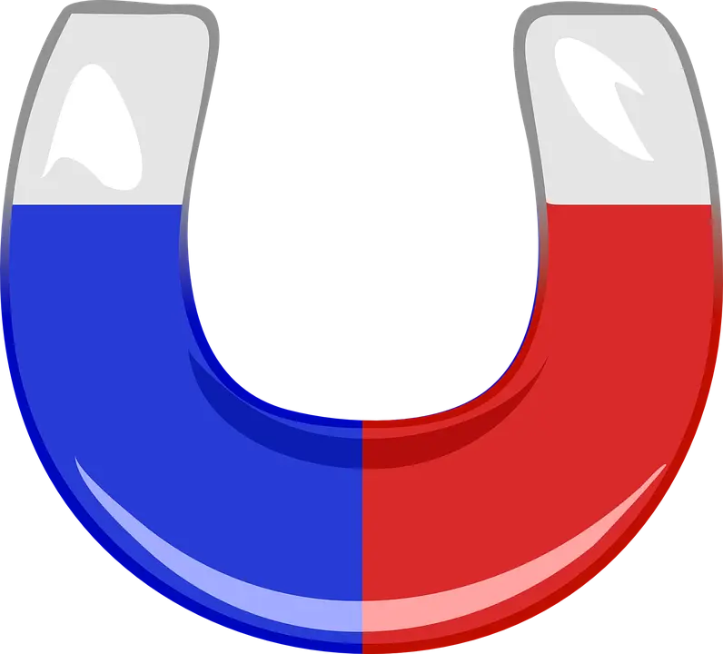 Red and Blue Horseshoe Magnet