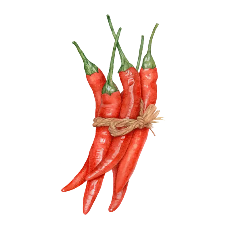 Bundle of Red Chili Peppers