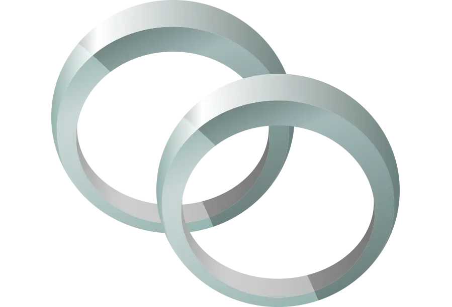 Silver Wedding Rings Illustration