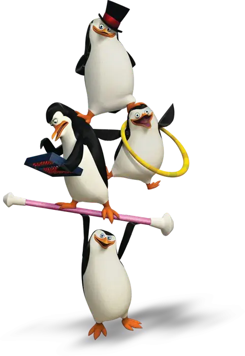 Circus Performing Penguins
