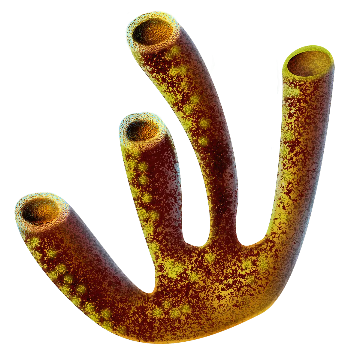 Yellow Coral Illustration