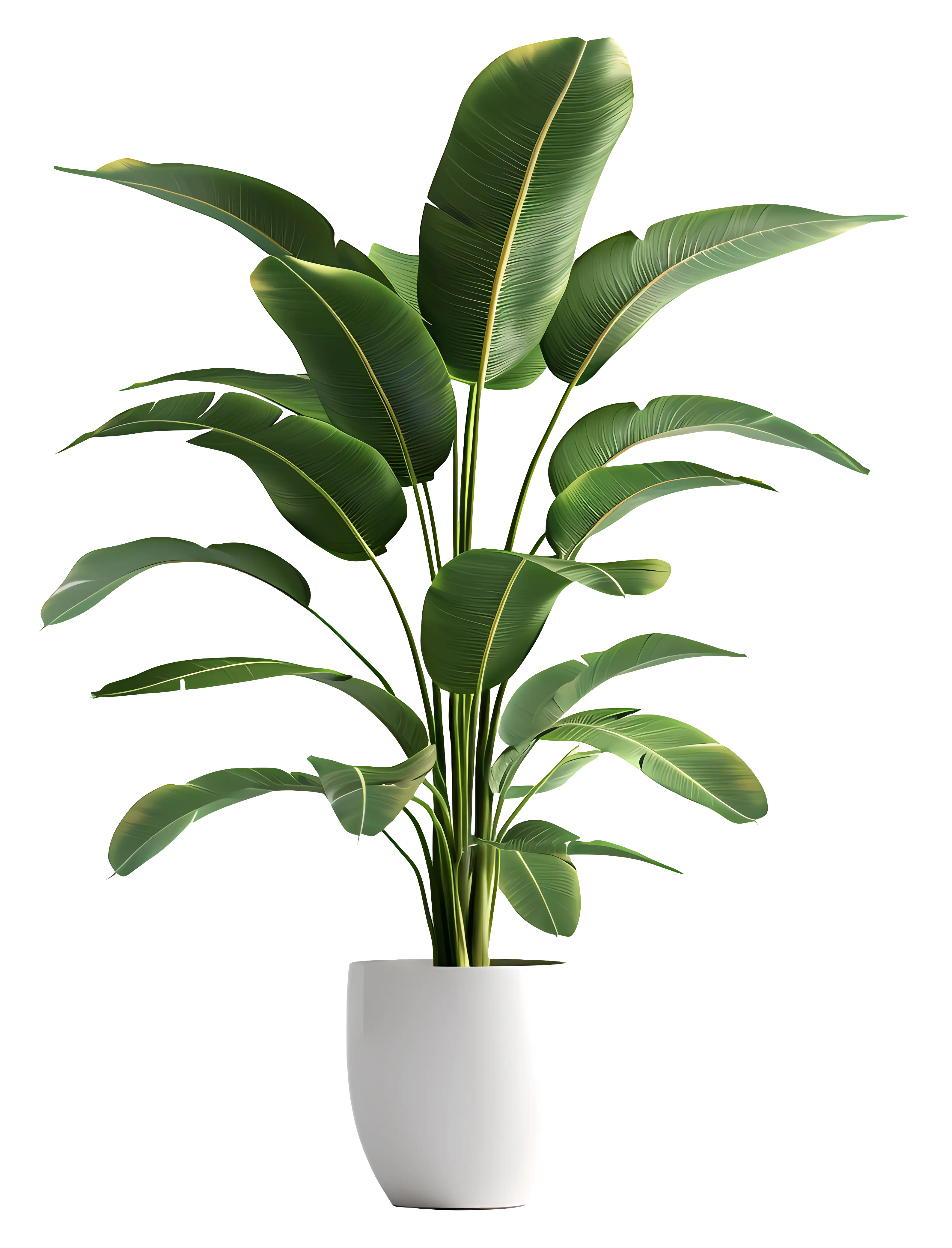 Potted Green Plant for Indoor Decor