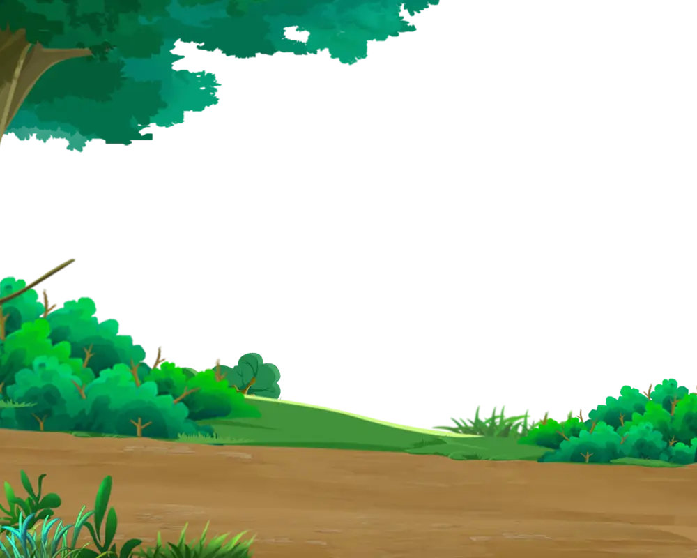 Pathway through Green Forest