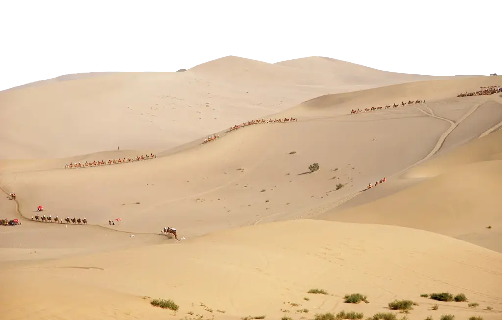 Vast Desert Landscape with Camels