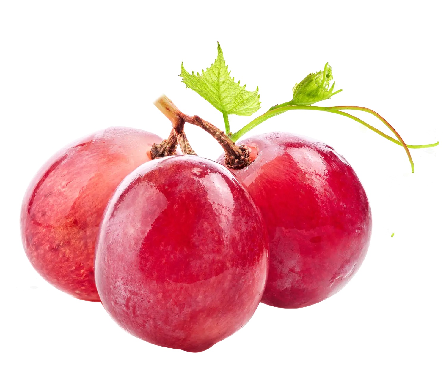 Red Grapes with Leaves