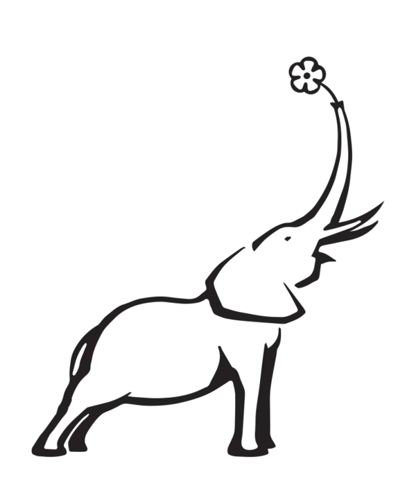 Elephant with Flower Doodle