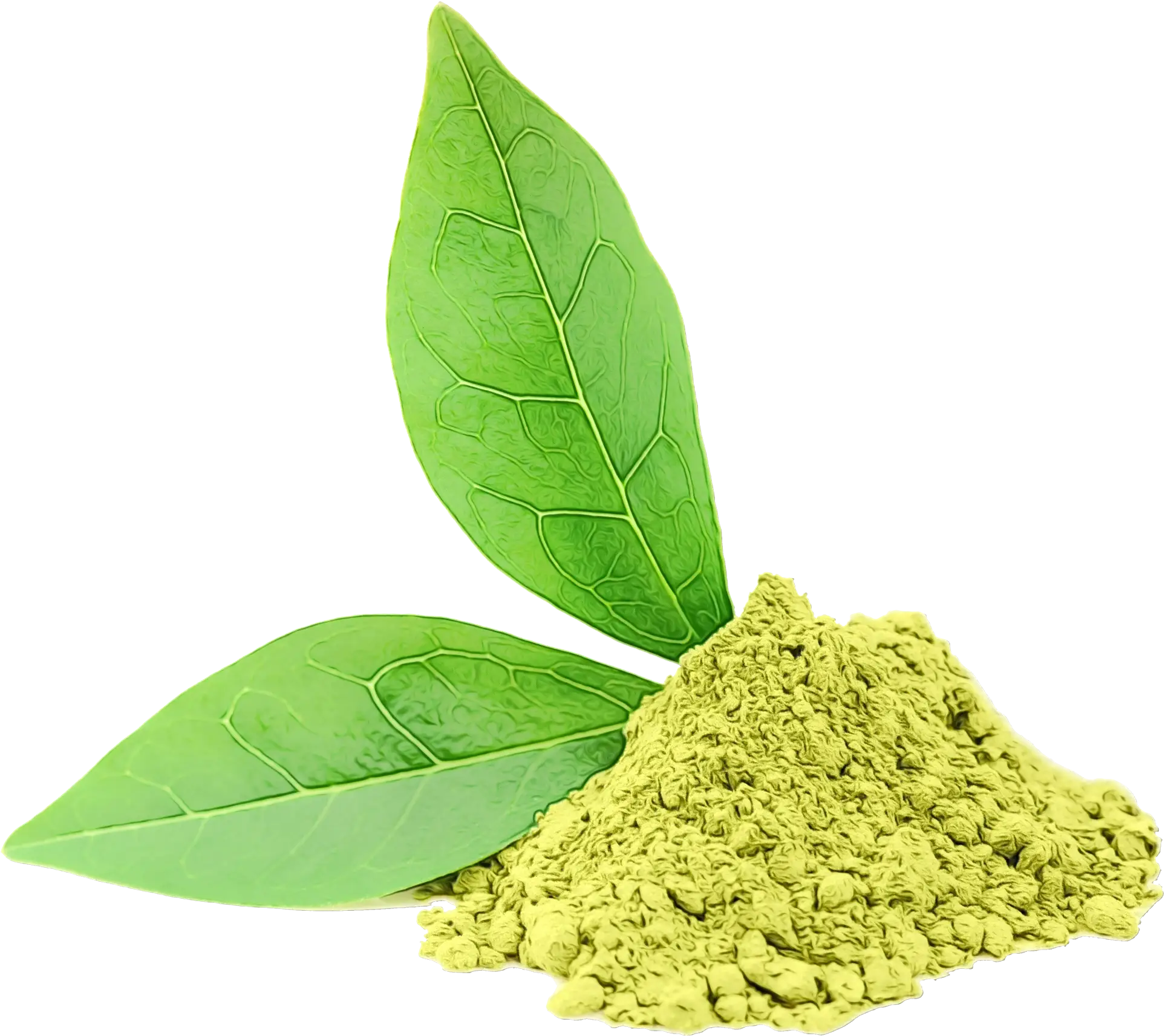 Green leaves and herbal powder