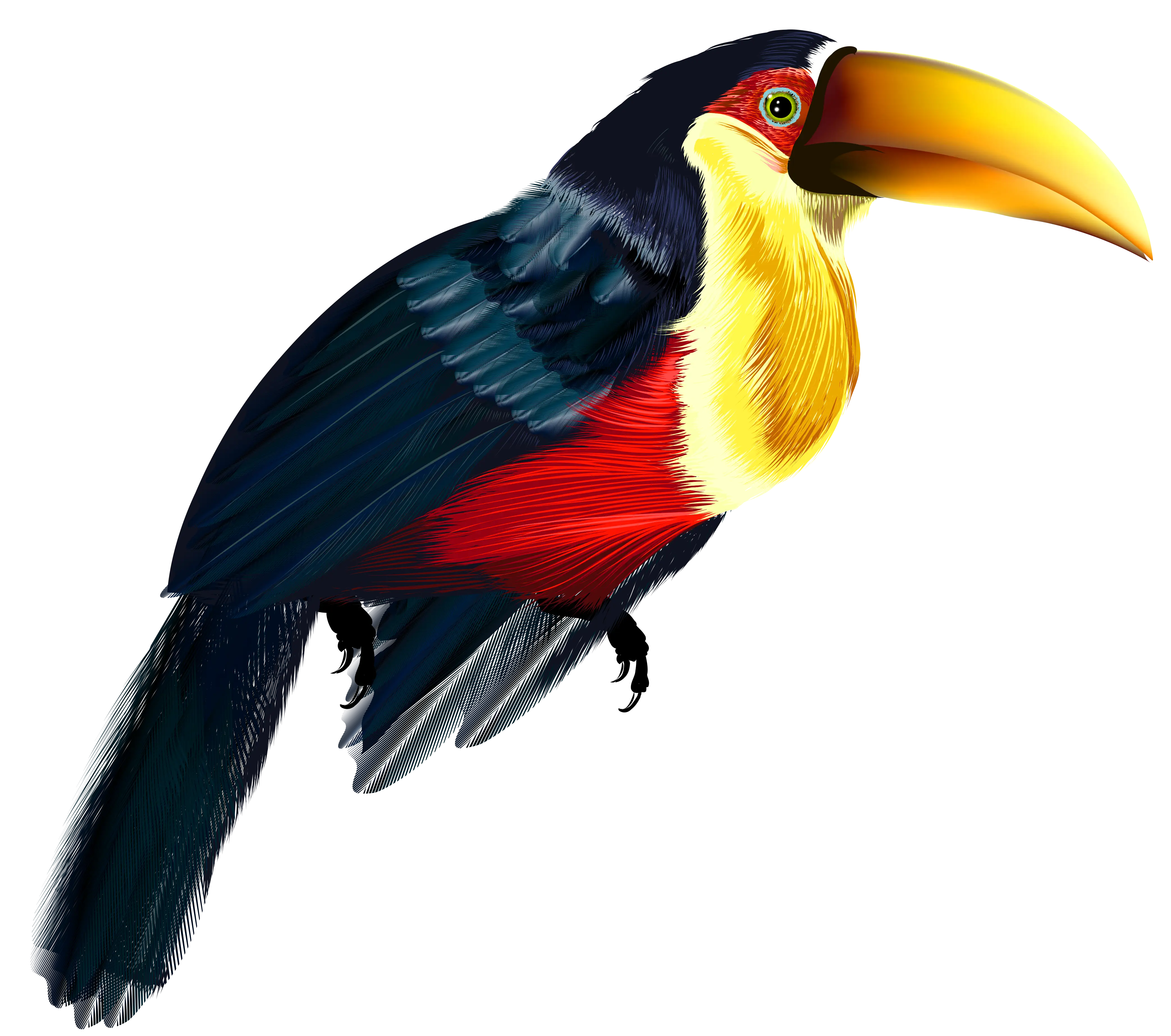Vibrantly Colored Toucan Bird